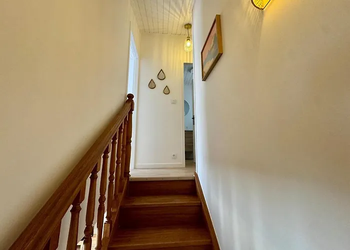 Evasion Marine A 2 Pas Du Port * Saint-Gilles-Croix-de-Vie